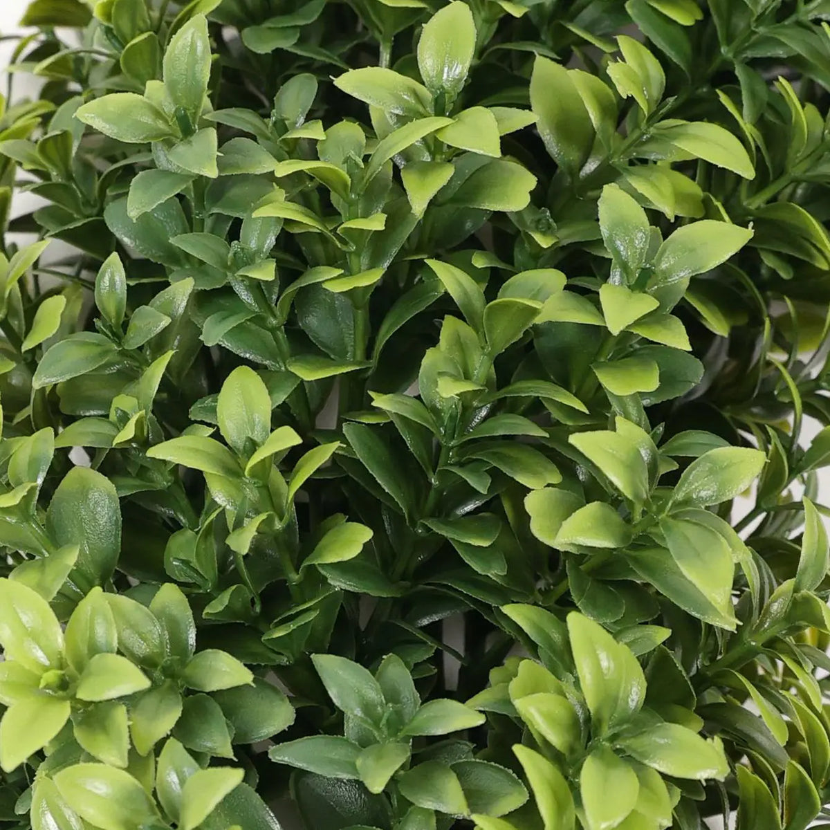 Close-up of realistic green foliage on the single-ball artificial topiary tree
