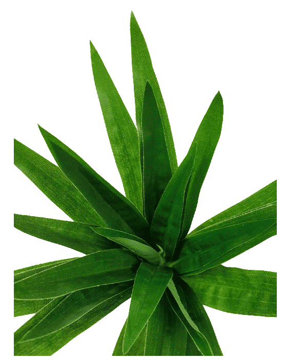 3 Pack - Aloe Vera Plant Stem 30cm - Designer Vertical Gardens artificial garden wall plants artificial green wall australia