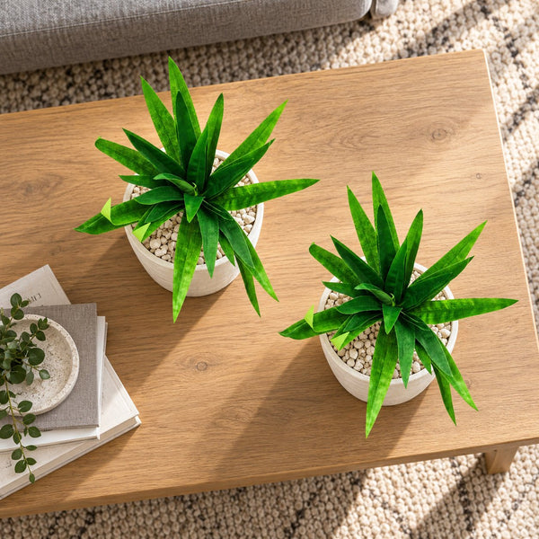 3 Pack - Aloe Vera Plant Stem 30cm — gallery image 6