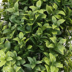 Close-up of realistic green foliage on the three-ball artificial topiary tree