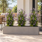 Three artificial lavender topiary plants in a long outdoor trough planter
