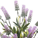 Close-up of purple lavender flower spikes and green foliage