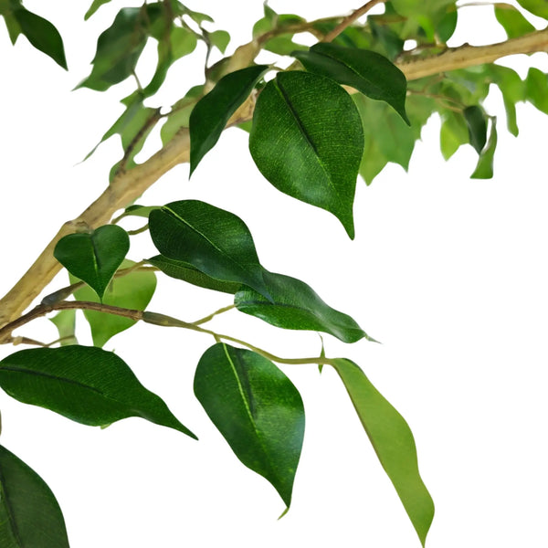 Extra Large Artificial Ficus Tree 300cm | Weeping Fig — gallery image 4