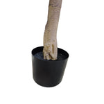 Artificial Ficus trunk and nursery pot detail