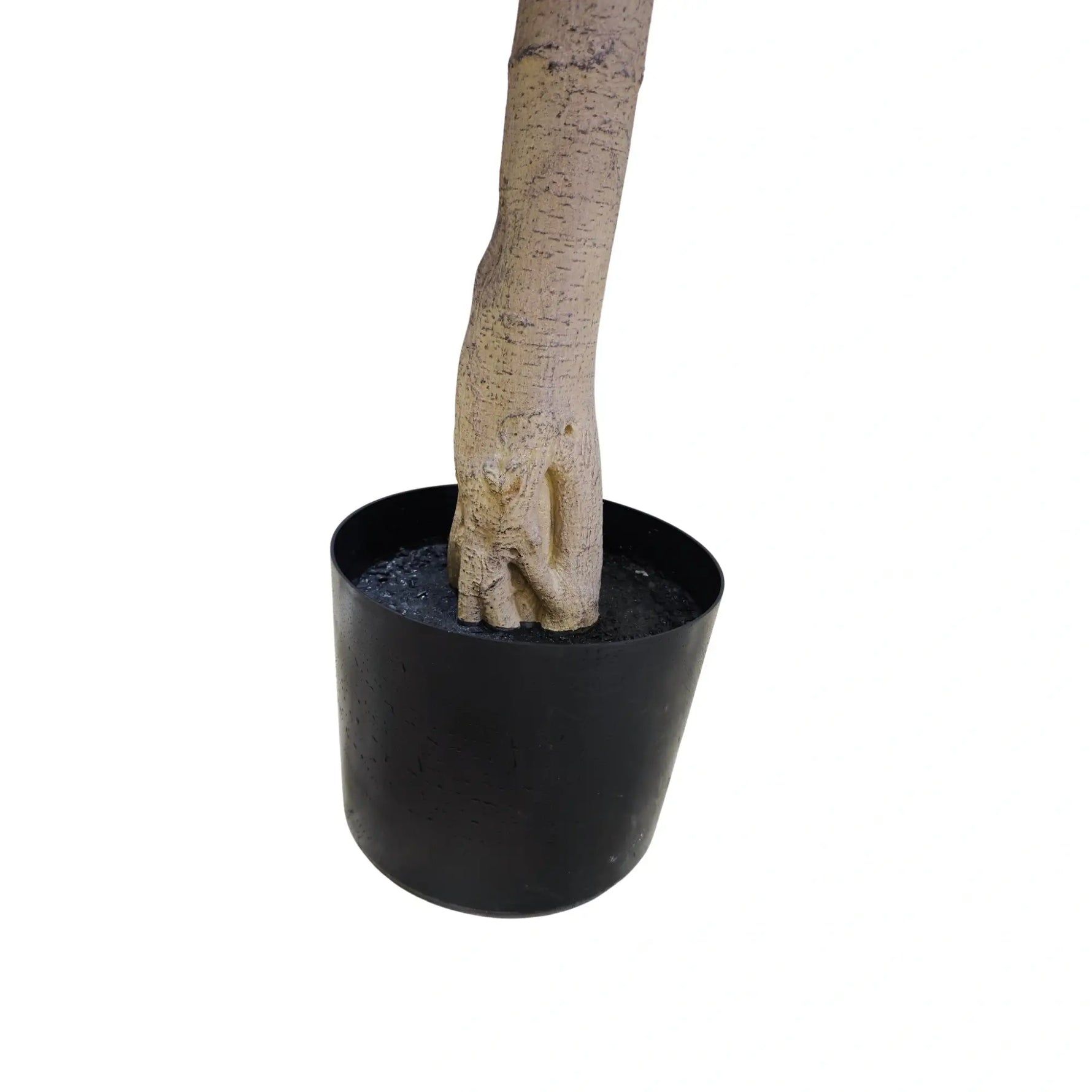 Artificial Ficus trunk and nursery pot detail