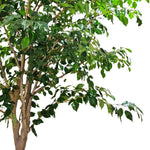 Large artificial Ficus tree foliage and branch profile