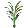 Extra Large Artificial Bird of Paradise 240cm | Strelitzia Nicolai