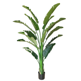 Extra Large Artificial Bird of Paradise 240cm | Strelitzia Nicolai