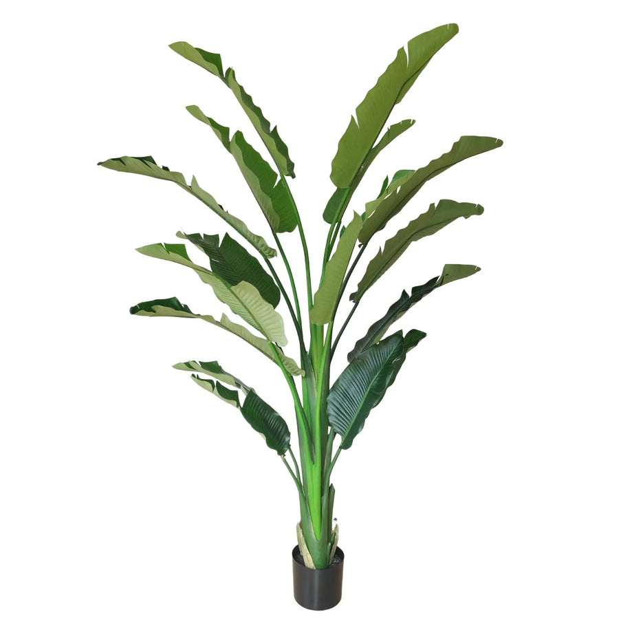 Extra Large Artificial Bird of Paradise 240cm | Strelitzia Nicolai