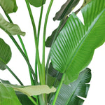 Artificial Strelitzia foliage with RealTex detailing