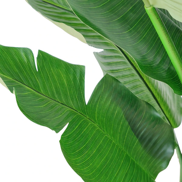 Extra Large Artificial Bird of Paradise 240cm | Strelitzia Nicolai — gallery image 3