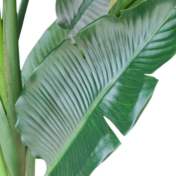 Extra Large Artificial Bird of Paradise 240cm | Strelitzia Nicolai — gallery image 4