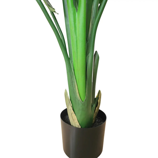 Extra Large Artificial Bird of Paradise 240cm | Strelitzia Nicolai — gallery image 5