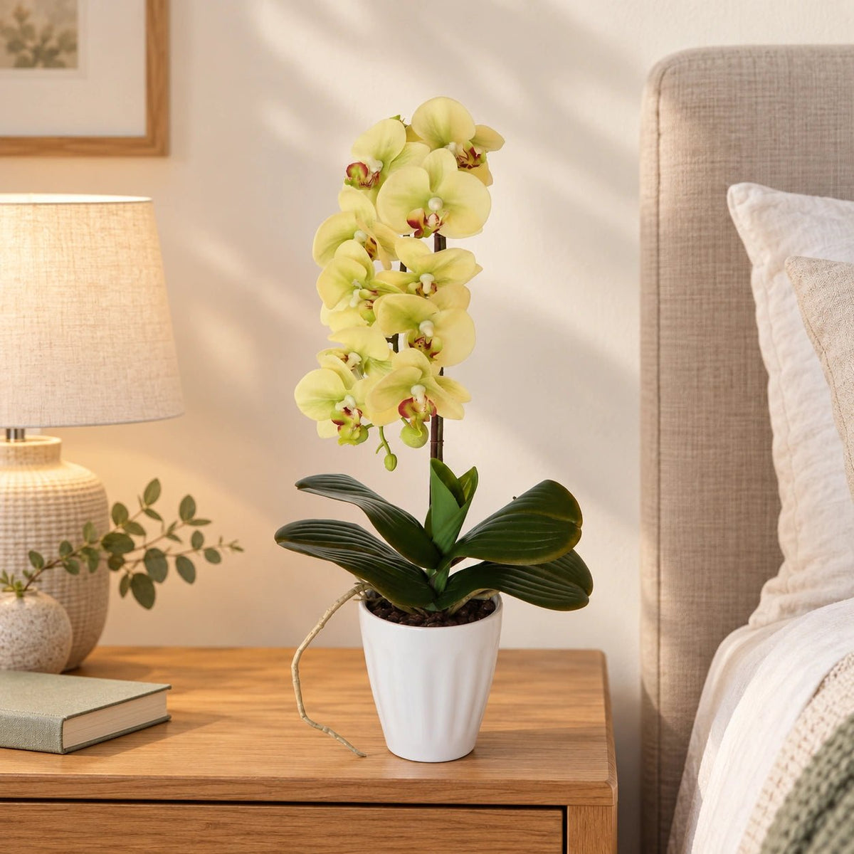 40cm Butterfly Artificial Potted Orchid Cream - Designer Vertical Gardens artificial garden wall plants artificial green wall australia