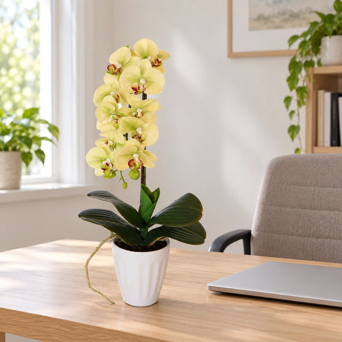 40cm Butterfly Artificial Potted Orchid Cream - Designer Vertical Gardens artificial garden wall plants artificial green wall australia