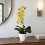 40cm Butterfly Artificial Potted Orchid Cream - Designer Vertical Gardens artificial garden wall plants artificial green wall australia