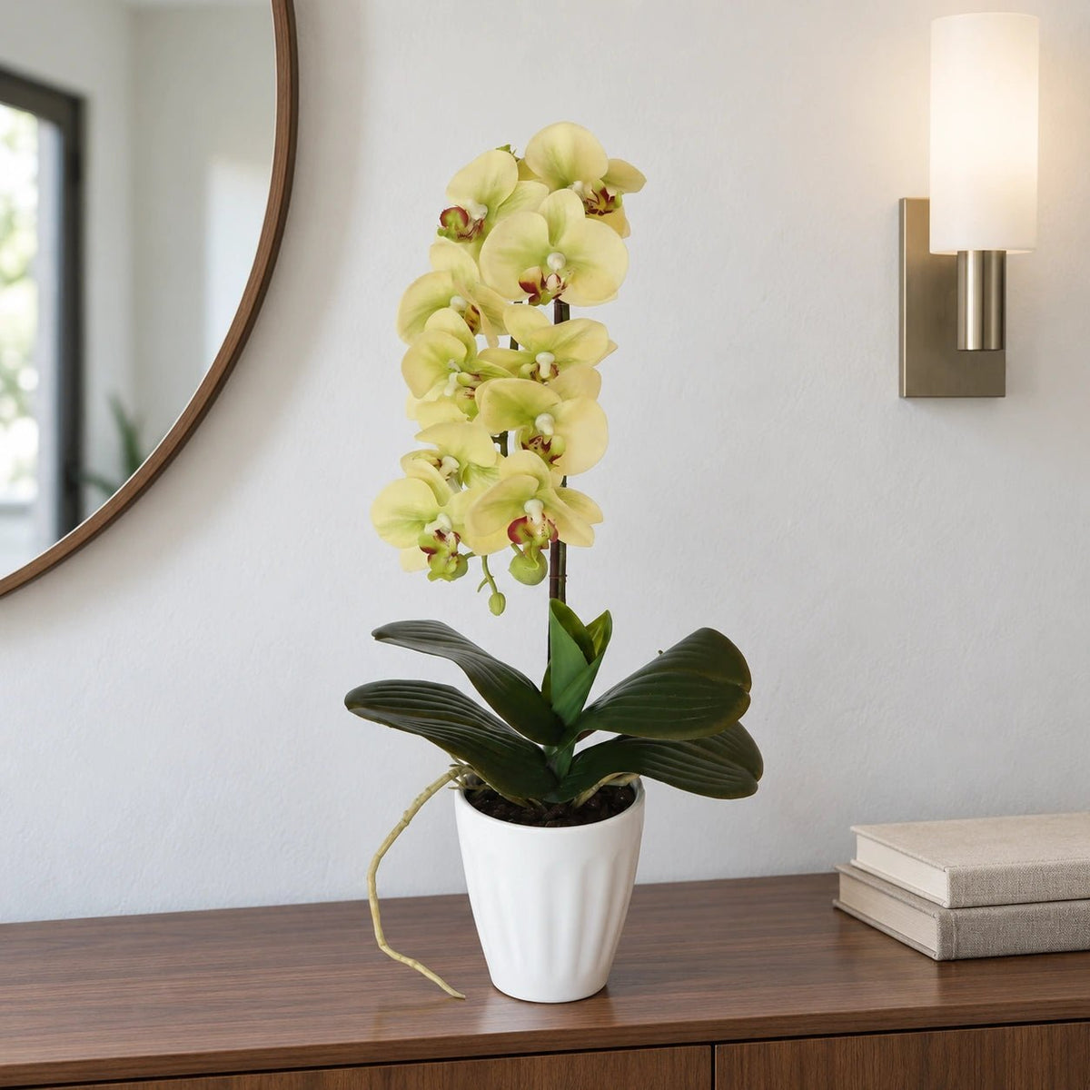 40cm Butterfly Artificial Potted Orchid Cream - Designer Vertical Gardens artificial garden wall plants artificial green wall australia
