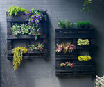 Wall-mounted wooden planters with various plants against a gray brick wall.
