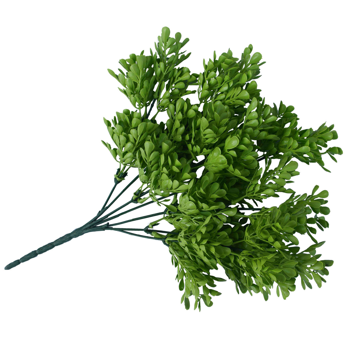 5 Pack Vivid Green Wide Eucalyptus Plant 32cm UV Resistant Wall Plant — gallery image