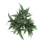 5 - packs Dark Green Tipped Willow Oak Stem UV Resistant 30cm - Designer Vertical Gardens artificial garden wall plants artificial green wall installation