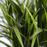Potted Artificial Grass Plant Dense Green Grass UV Resistant 38cm - front view
