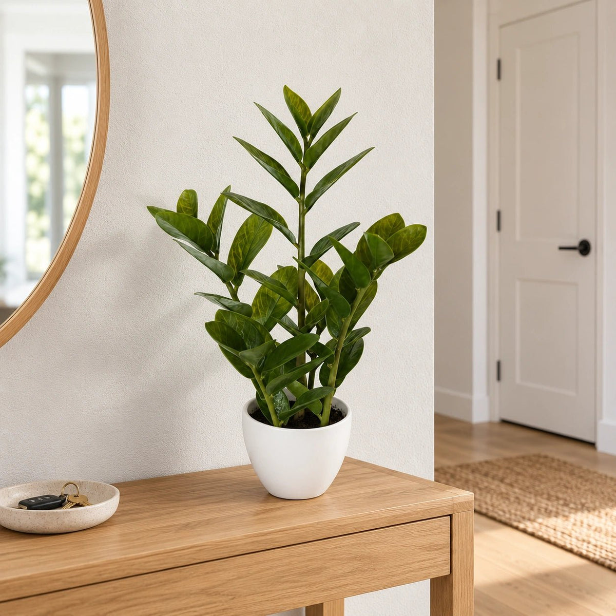 60cm Potted Faux Zanzibar - Designer Vertical Gardens artificial garden wall plants artificial green wall australia