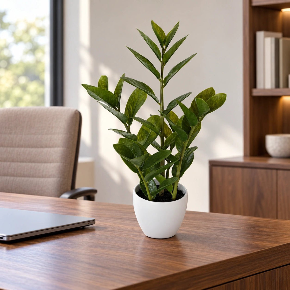 60cm Potted Faux Zanzibar - Designer Vertical Gardens artificial garden wall plants artificial green wall australia