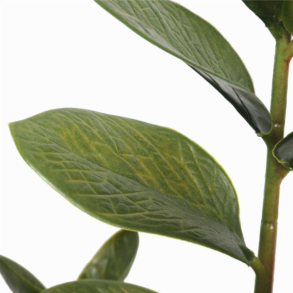 72cm Potted Multi Stem Faux Zanzibar — gallery image 3