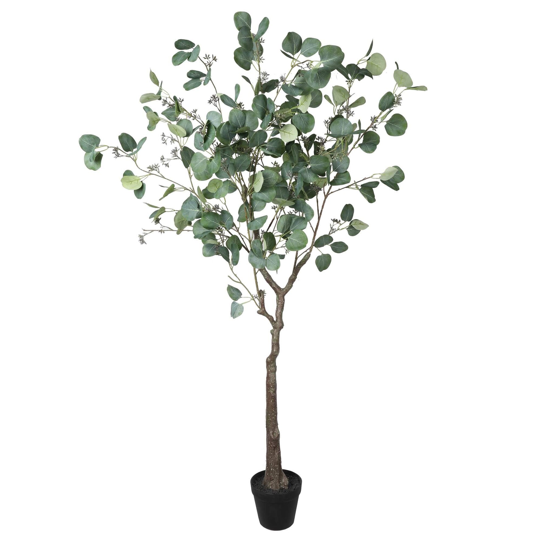 Artificial Eucalyptus Tree (Red Box Eucalyptus Polyanthemos) 150cm - detail view