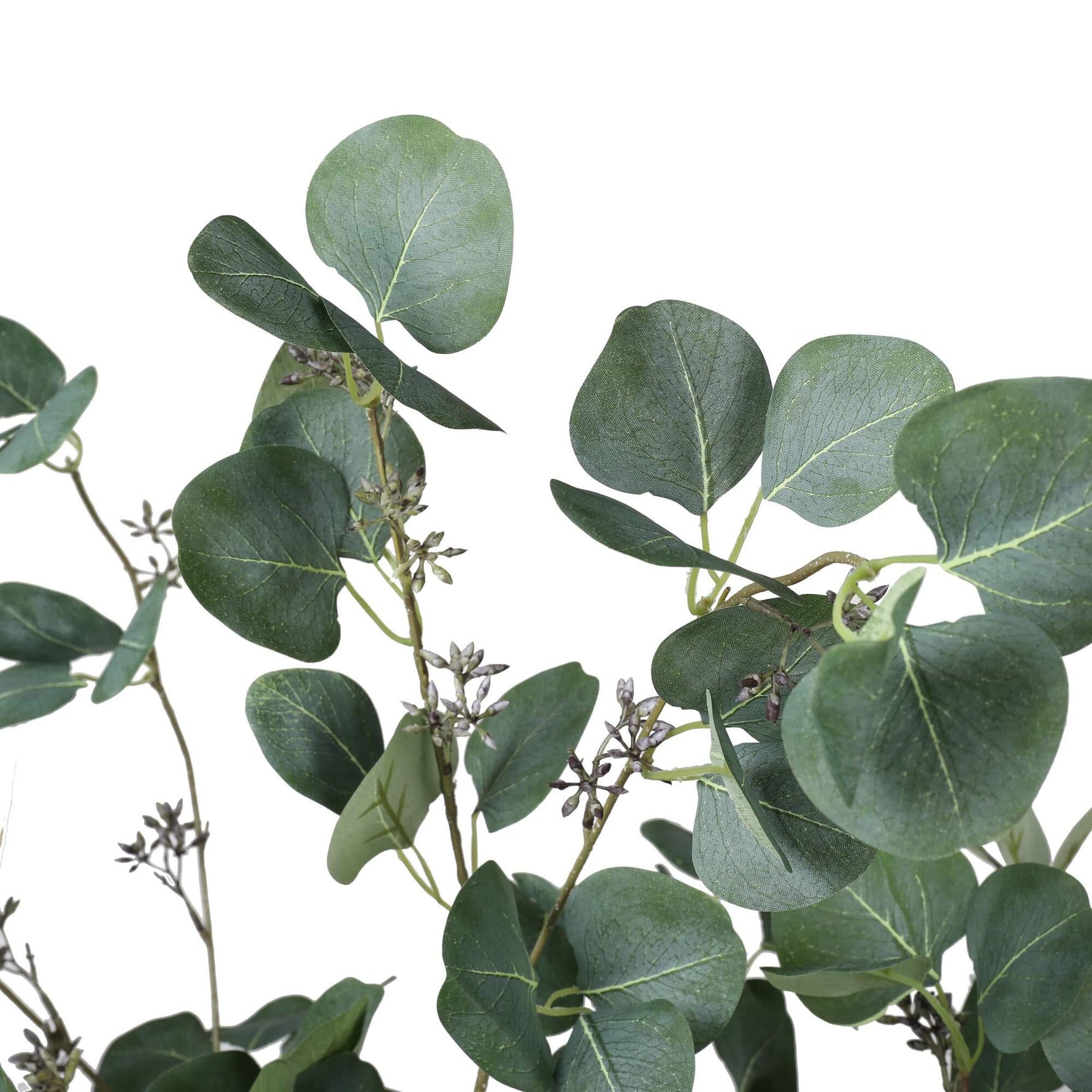 Artificial Eucalyptus Tree (Red Box Eucalyptus Polyanthemos) 150cm - angle view
