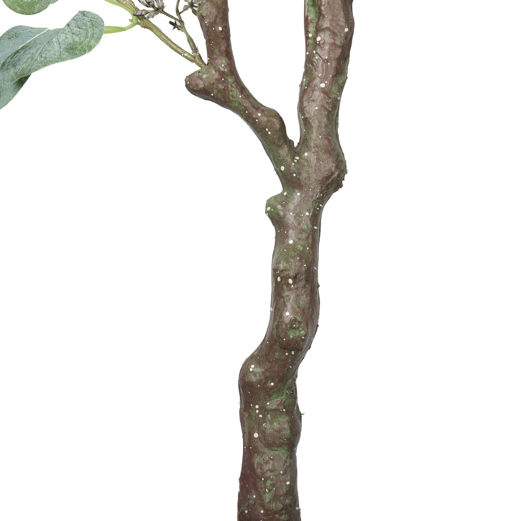 Artificial Eucalyptus Tree (Red Box Eucalyptus Polyanthemos) 150cm - overhead view