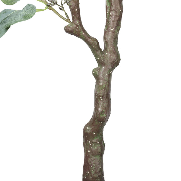 Artificial Eucalyptus Tree (Red Box Eucalyptus Polyanthemos) 150cm — gallery image 8