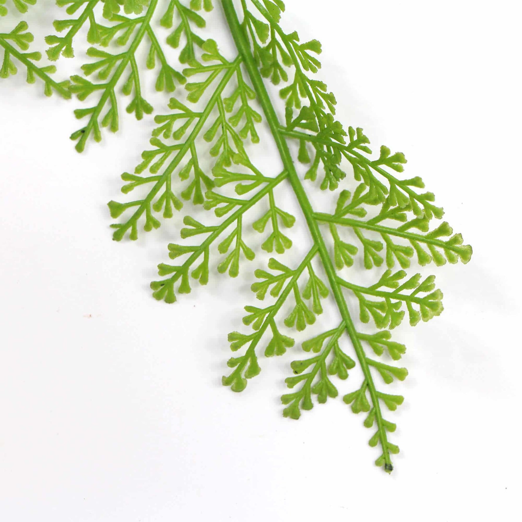 80cm Hanging Fresh Green Dense Maiden Hair Fern Bush UV Resistant - Designer Vertical Gardens artificial vertical garden melbourne artificial vertical green wall