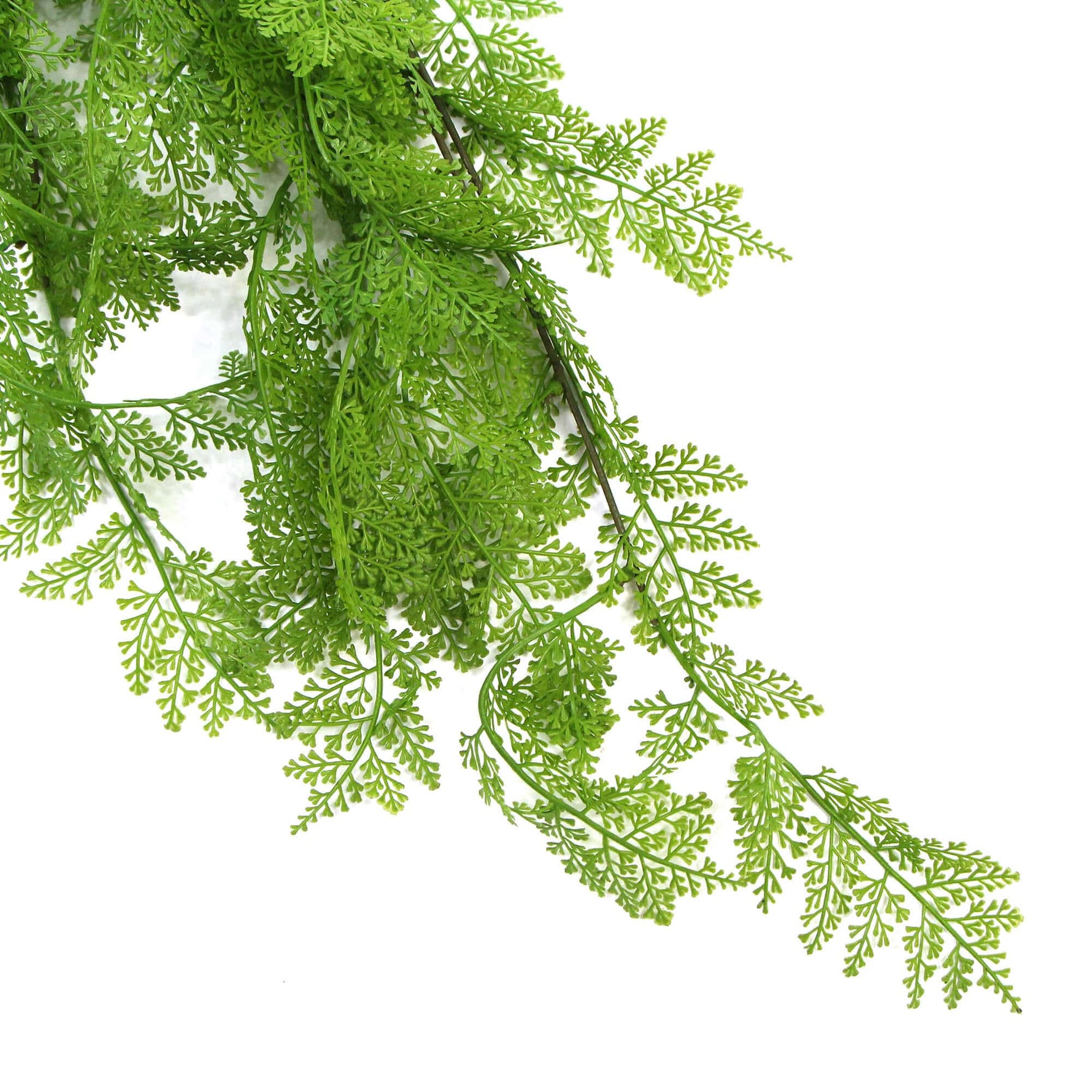 80cm Hanging Fresh Green Dense Maiden Hair Fern Bush UV Resistant - Designer Vertical Gardens artificial vertical garden melbourne artificial vertical green wall