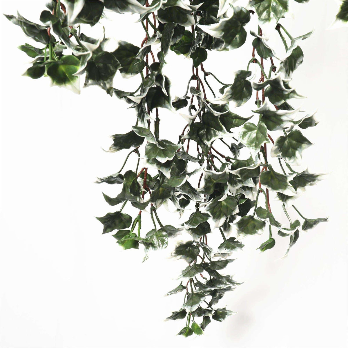80cm Mixed Green & White Tipped Hanging Artificial Ivy Bush UV Stable — gallery image