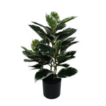 Artificial Bushy Dense Variegated Ficus Tree (Rubber Tree) 50cm - lifestyle image