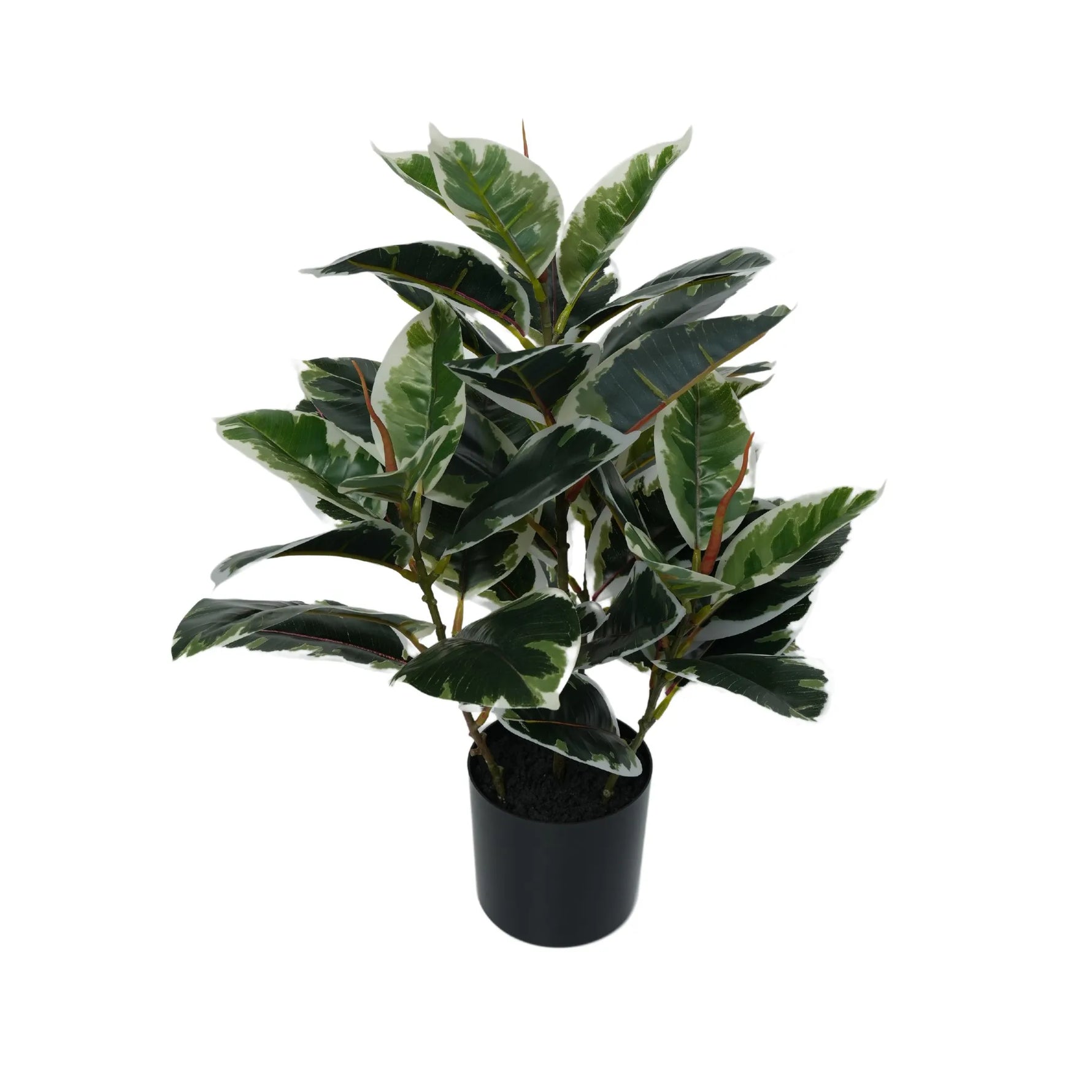 Artificial Bushy Dense Variegated Ficus Tree (Rubber Tree) 50cm - close-up view