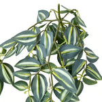 Artificial Hanging / Draping Tradescantia Zebrina 42cm - angle view