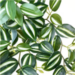 Artificial Hanging / Draping Tradescantia Zebrina 42cm - overhead view