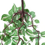 Artificial Hanging / Draping Wandering Jew 42cm - close-up view