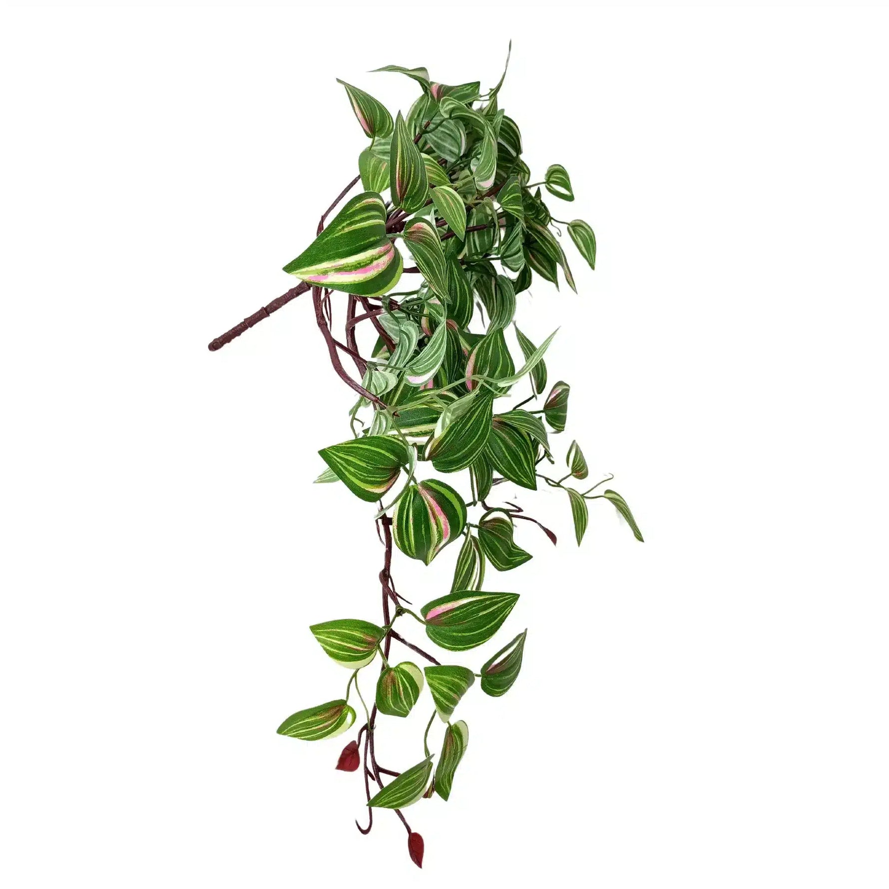 Artificial Hanging / Draping Wandering Jew 42cm - lifestyle image