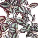 Artificial Hanging / Draping Burgundy Tradescantia Zebrina 42cm - detail view