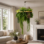 Hanging fern plant in a living room with a couch, coffee table, and fireplace.
