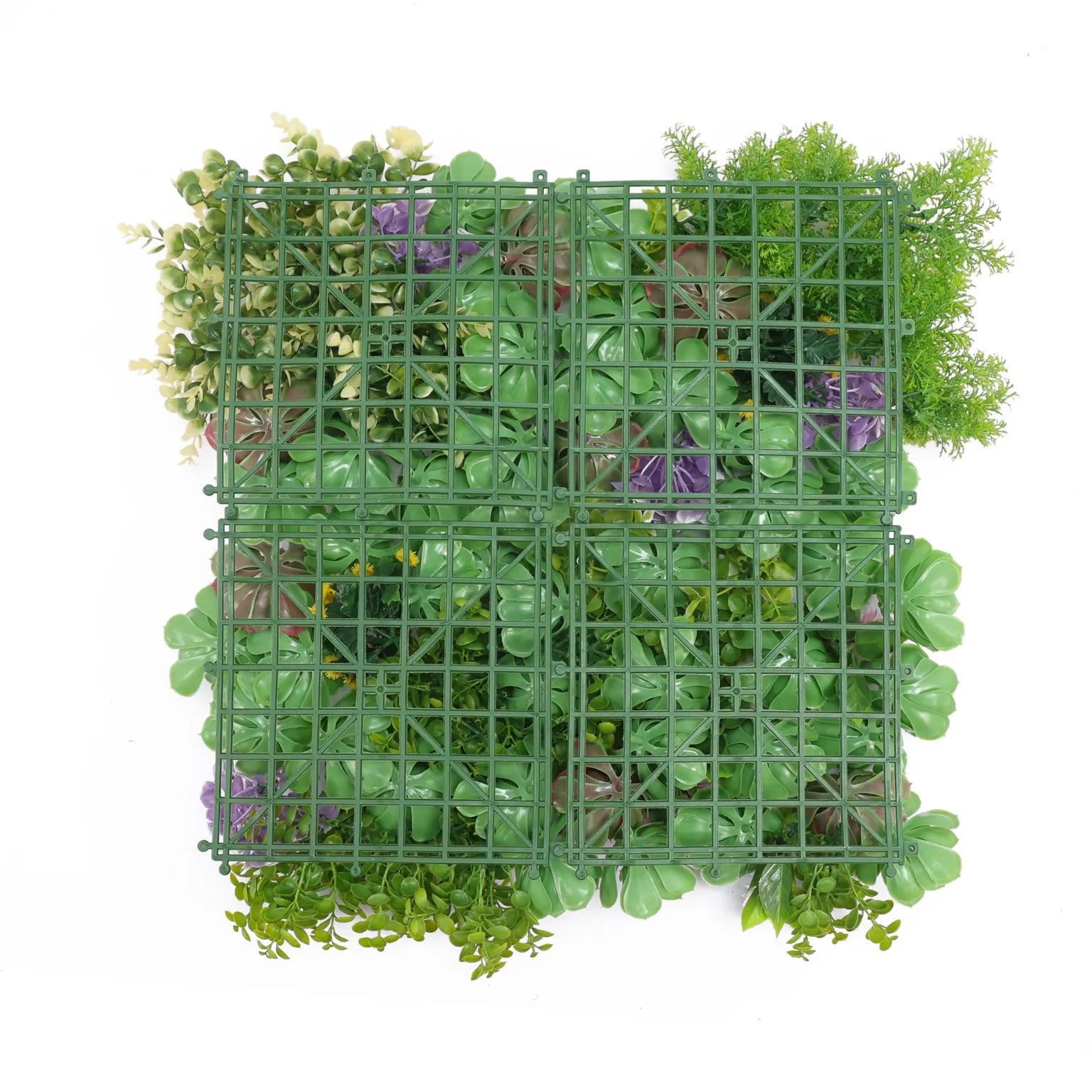 Dense Succulent Vertical Garden Green Wall Panel 50cm x 50cm – SGS UV Resistant - detail view