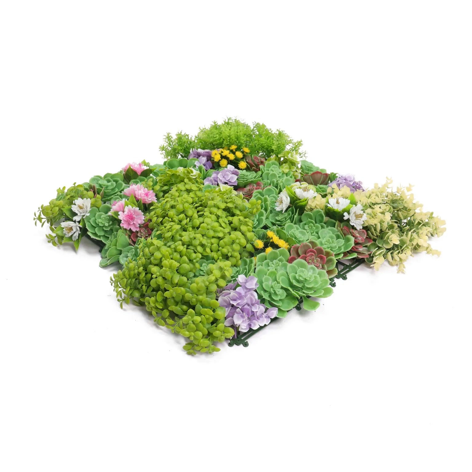 Dense Succulent Vertical Garden Green Wall Panel 50cm x 50cm – SGS UV Resistant - close-up view