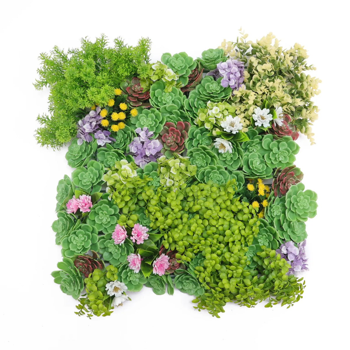 Dense Succulent Vertical Garden Green Wall Panel 50cm x 50cm – SGS UV Resistant — gallery image