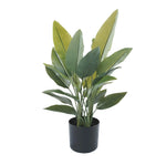 Premium Artificial Strelitzia Plant 70cm featuring realistic Bird of Paradise foliage, lush green leaves, and a black nursery pot.