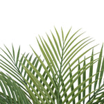 Artificial Areca Palm in Pot – 50cm UV - Protected Plant - Designer Vertical Gardens