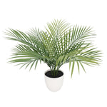 Artificial Areca Palm in Pot – 50cm UV - Protected Plant - Designer Vertical Gardens
