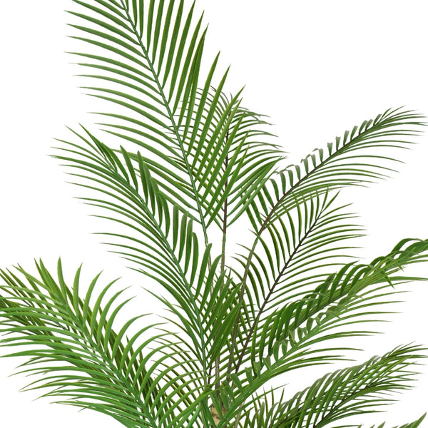 Artificial Areca Palm Tree 210cm - UV Protected Tropical Plant — gallery image 3